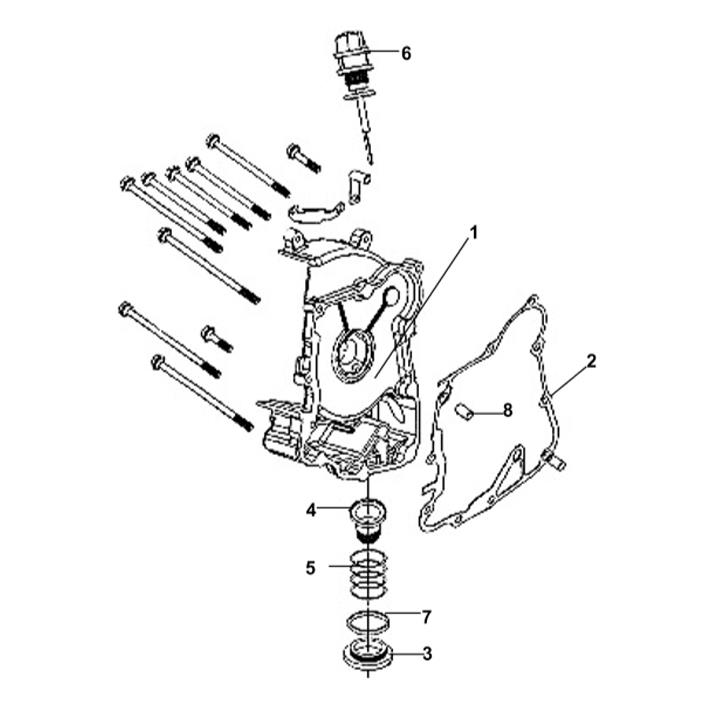 E06 Right Crankcase Cover For 200i Lance Scooters